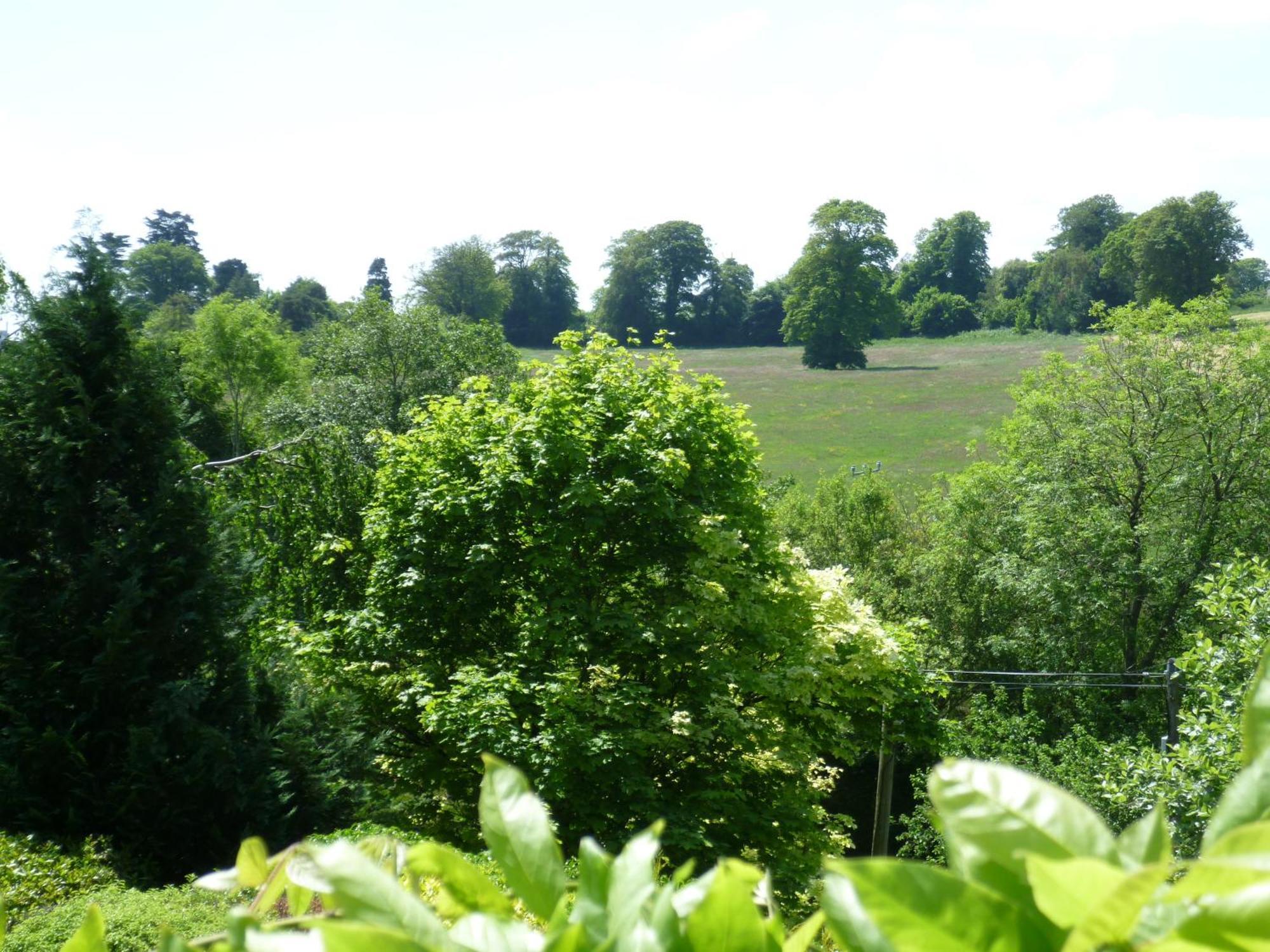 Diamond Hill Country House 워터퍼드 외부 사진