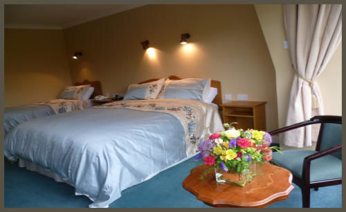 Diamond Hill Country House 워터퍼드 외부 사진